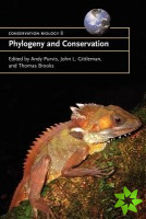 Phylogeny and Conservation