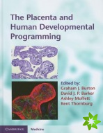 Placenta and Human Developmental Programming