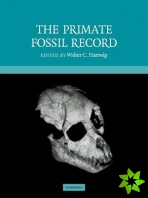 Primate Fossil Record