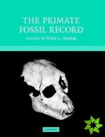 Primate Fossil Record