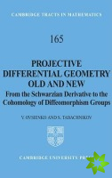 Projective Differential Geometry Old and New