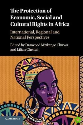 Protection of Economic, Social and Cultural Rights in Africa
