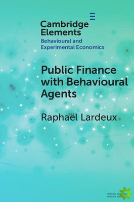Public Finance with Behavioural Agents