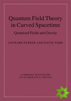 Quantum Field Theory in Curved Spacetime