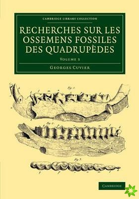 Recherches sur les ossemens fossiles des quadrupedes