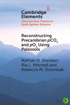 Reconstructing Precambrian pCO2 and pO2 Using Paleosols