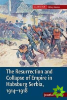 Resurrection and Collapse of Empire in Habsburg Serbia, 1914-1918: Volume 1