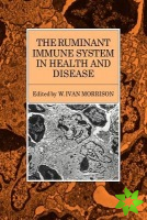 Ruminant Immune System in Health and Disease