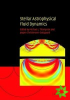 Stellar Astrophysical Fluid Dynamics
