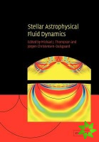 Stellar Astrophysical Fluid Dynamics