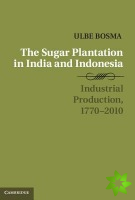 Sugar Plantation in India and Indonesia