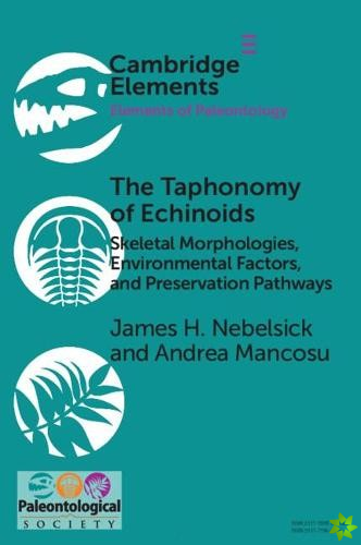Taphonomy of Echinoids