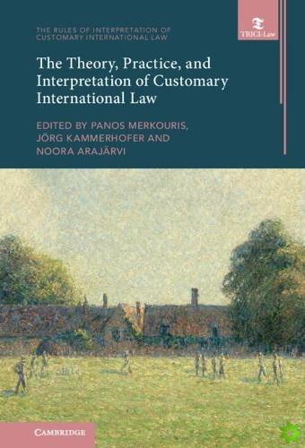 Theory, Practice, and Interpretation of Customary International Law