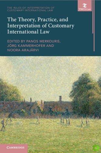 Theory, Practice, and Interpretation of Customary International Law