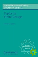 Topics in Finite Groups