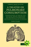 Treatise on Pulmonary Consumption