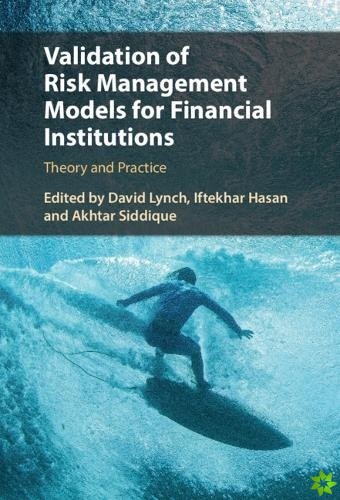 Validation of Risk Management Models for Financial Institutions