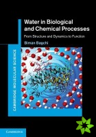 Water in Biological and Chemical Processes