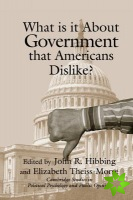 What Is it about Government that Americans Dislike?