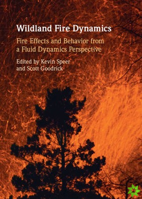 Wildland Fire Dynamics