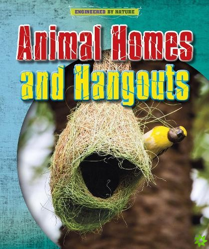 Animal Homes and Hang-outs