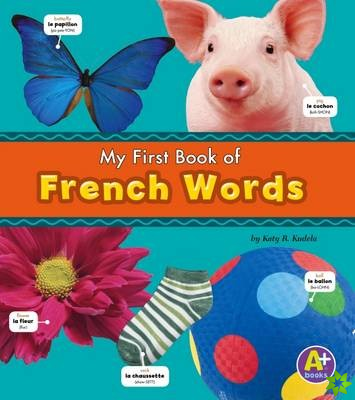 Bilingual Picture Dictionaries Pack A of 6