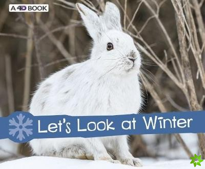 Let's Look at Winter