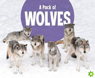 Pack of Wolves