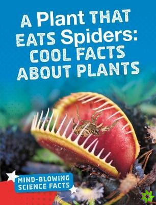 Plant That Eats Spiders