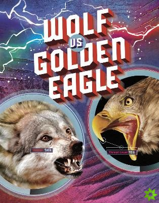 Wolf vs Golden Eagle