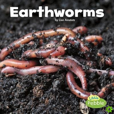 Earthworms (Little Critters)