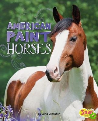 American Paint Horses (Horse Breeds)
