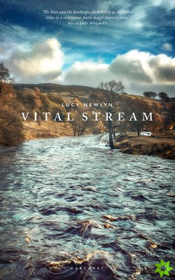 Vital Stream