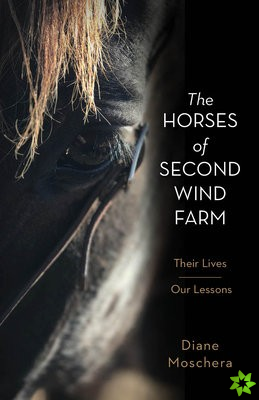 Horses of Second Wind Farm