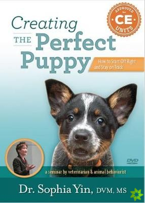 Creating the Perfect Puppy