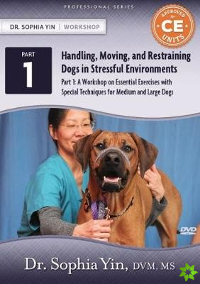 Workshop on Essential Exercises with Special Techniques for Medium and Large Dogs
