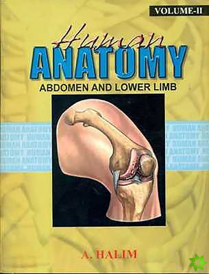 Abdomen and Lower Limb