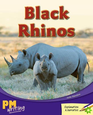 Black Rhinos