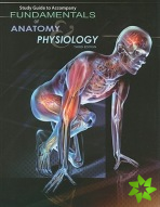 Study Guide for Rizzo's Fundamentals of Anatomy and Physiology, 3rd