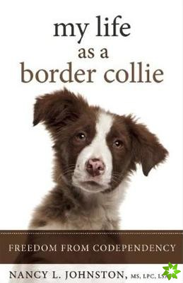 My Life as a Border Collie