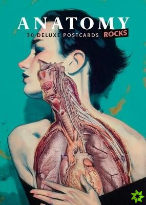 Anatomy Rocks: 30 Deluxe Postcards