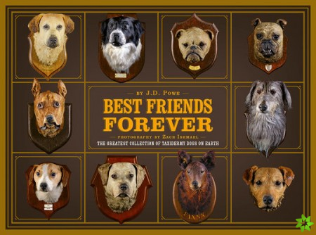 Best Friends Forever: The Greatest Collection of Taxidermy Dogs on Earth