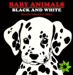 Baby Animals Black and White