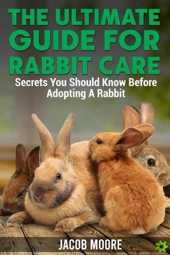 Ultimate Guide for Rabbit Care