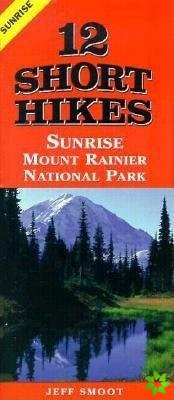 12 Short Hikes Mount Rainier National Park Sunrise