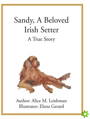 Sandy, A Beloved Irish Setter