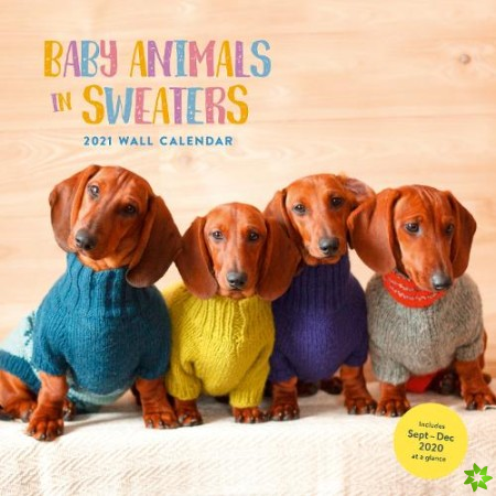 Baby Animals in Sweaters 2021 Wall Calendar