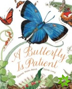 Butterfly Is Patient