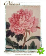 Deluxe Notecards: Blooms