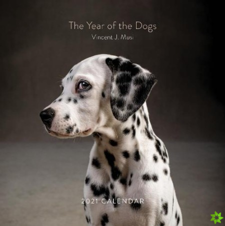 Year of the Dogs 2021 Wall Calendar